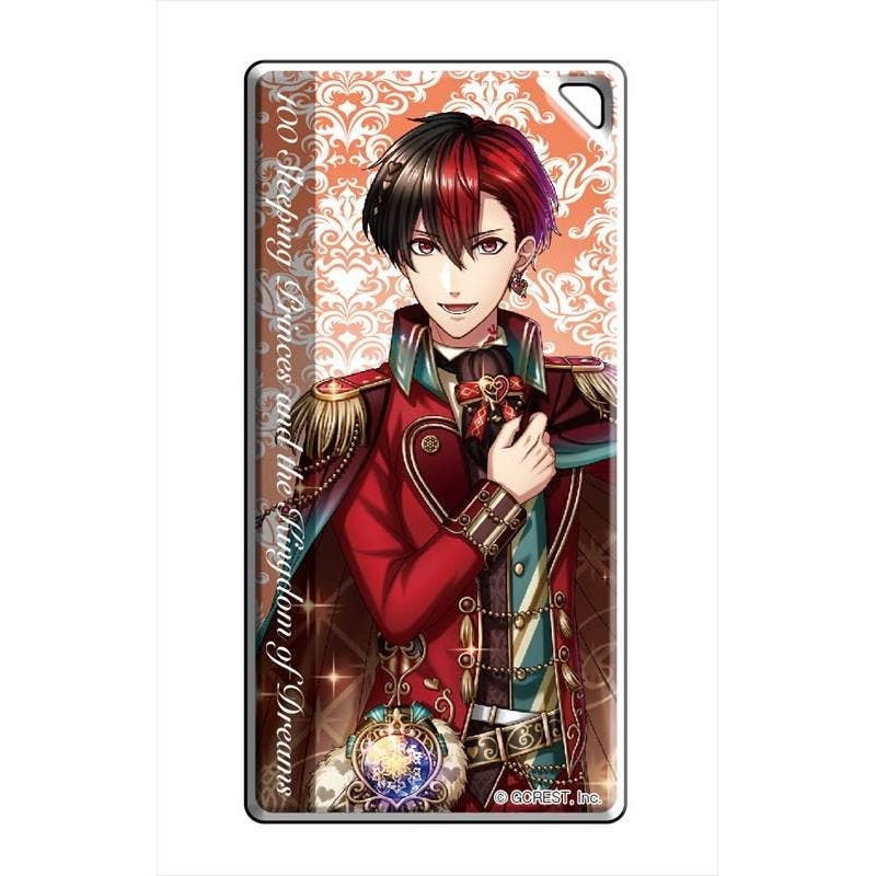 100 Sleeping Princes and the Kingdom of Dreams: Domino-style Keychain Hearts