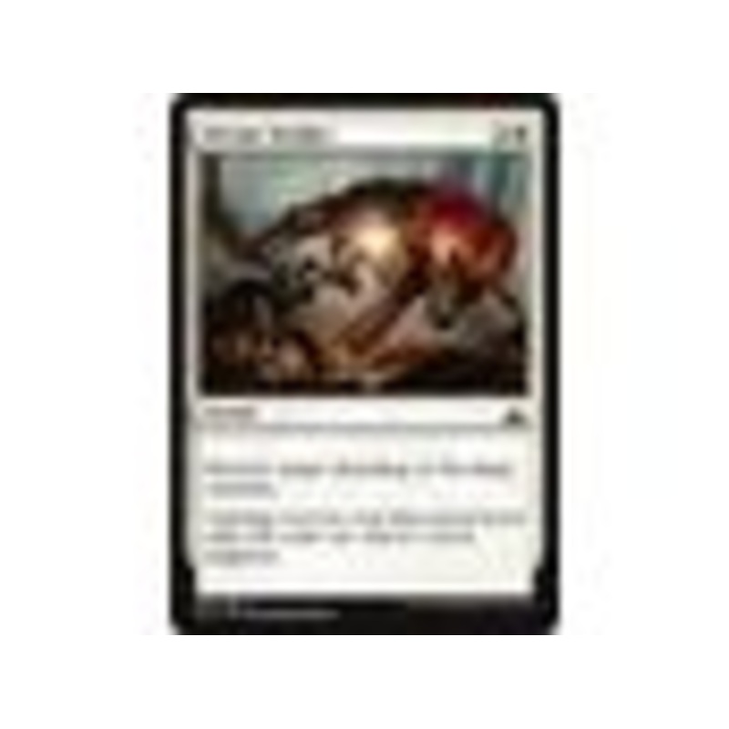 Magic the Gathering – Divine Verdict – Common – RIX005