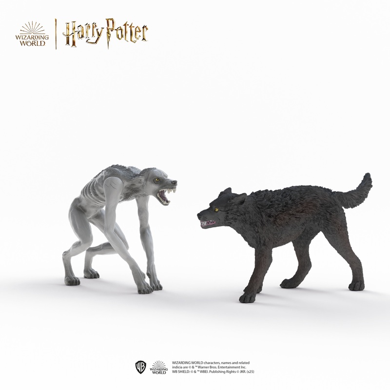 Werewolf vs. Animagus