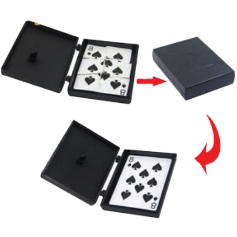 Torn and restored card case