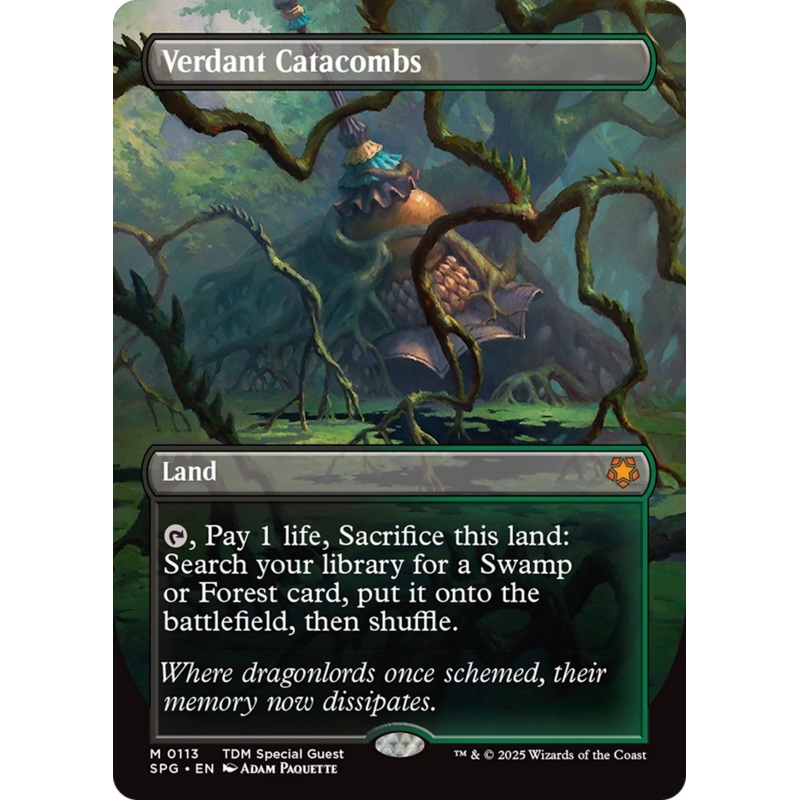 Verdant Catacombs (Borderless) [Tarkir: Dragonstorm Special Guests]