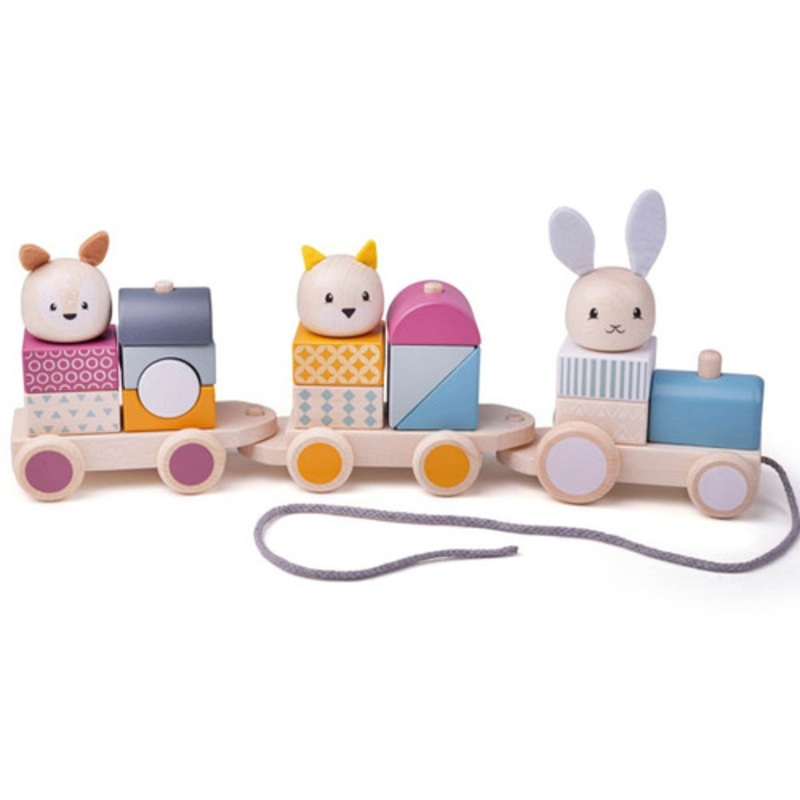 “Bigjigs – Activity Pull Along Train”