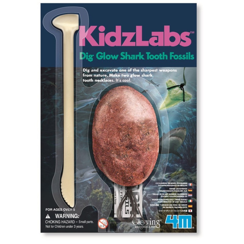 “4M – KidzLabs – Shark Tooth Fossil”