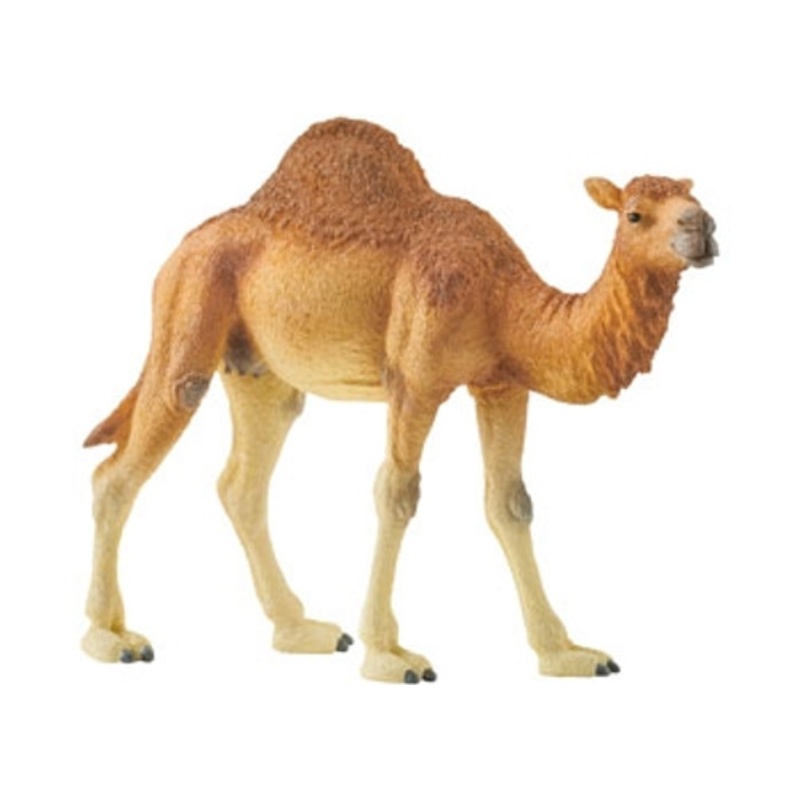 “Schleich – Dromedary”