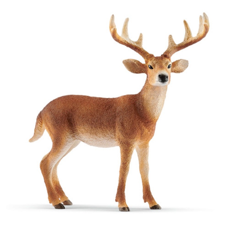 “Schleich Wild Life – White-tailed Buck 14818”