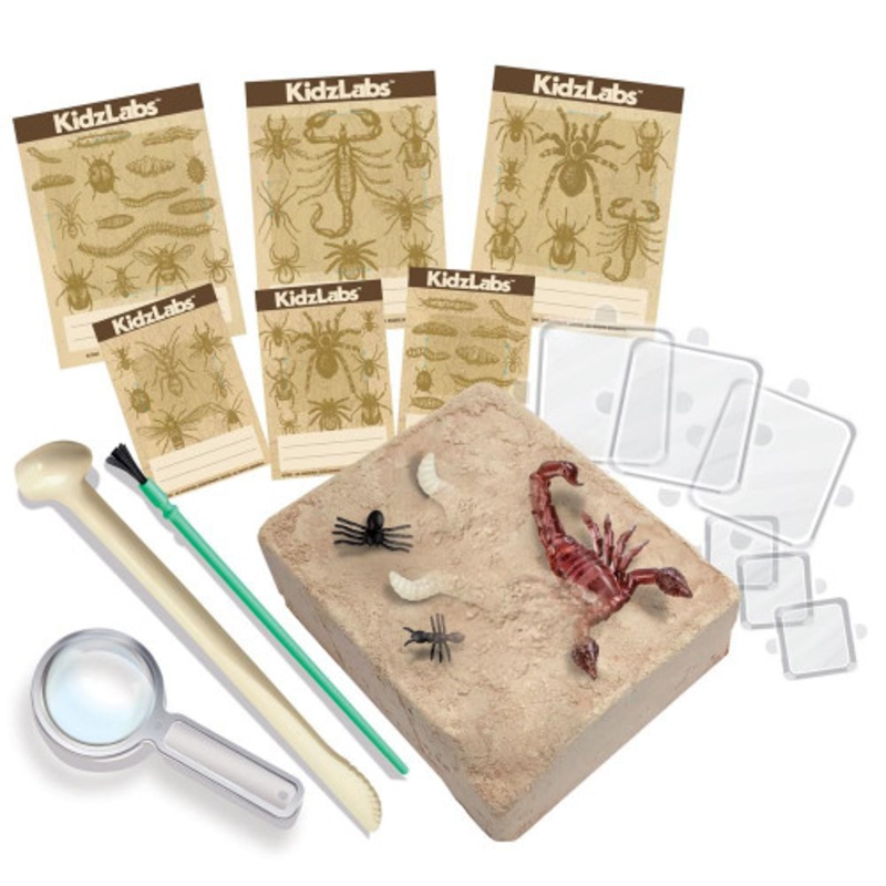 “4M – KidzLabs – Creepy Crawly Digging Kit”