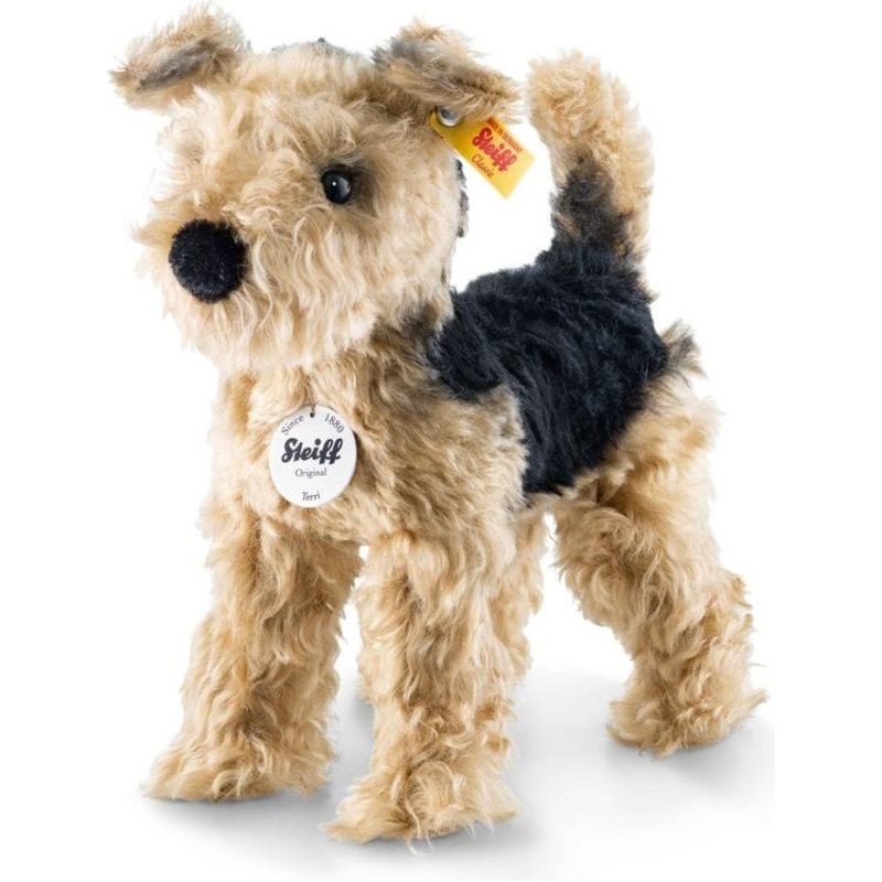 Terri Welsh Terrier